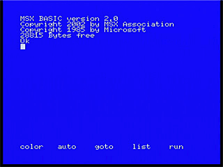 1chip MSX
